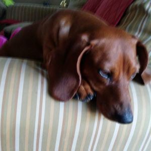 Meet your Posher, Tammy